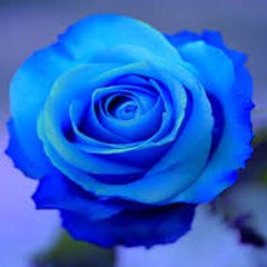 Latest movies and shows