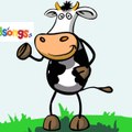 Kids Songs