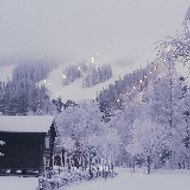 krzysztof Halkiewicz