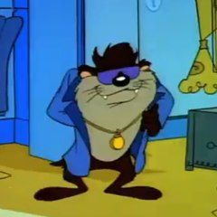 Taz91