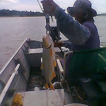 LUIZ RONDINE FISHING BRAZIL !!!!