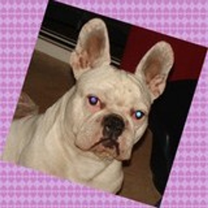 Dailymotion profile picture for @shiva