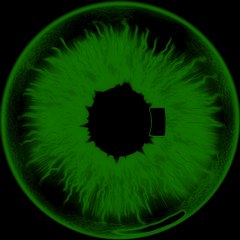 WhiteHat