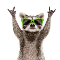Funny Animals club