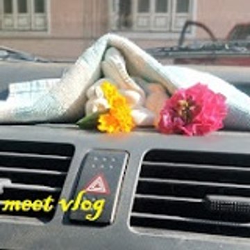 Meet vlog