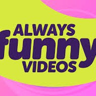 Funny Videos