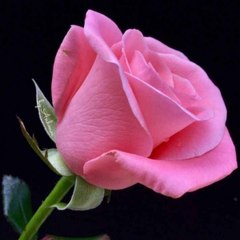 Ishaqali arain sadiq abad