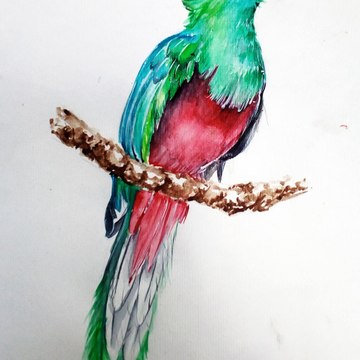 KPS Creations