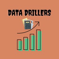 Data Drillers