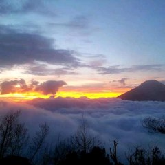 Paijo channel 22
