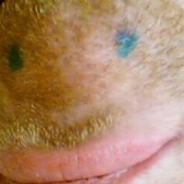 pikel
