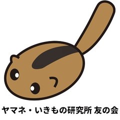 ヤマネ・いきもの研究所｜Dormouse & Wildlife Institute