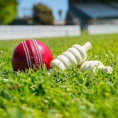 Cricket Data