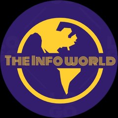 THE INFO WORLD
