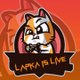Lapka is Live