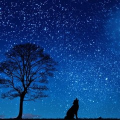 Sanctioning Evil ＦＵＬＬ"ＭＯＶＩＥ'