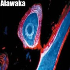 Alawaka