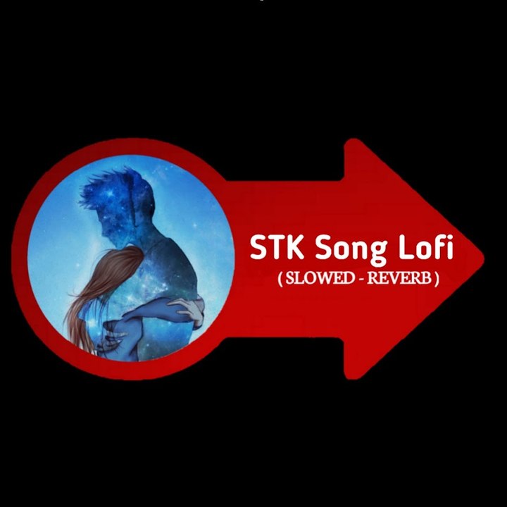 Dailymotion profile picture for @stk