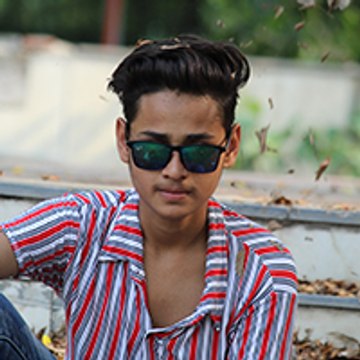 Delhiite Prankster