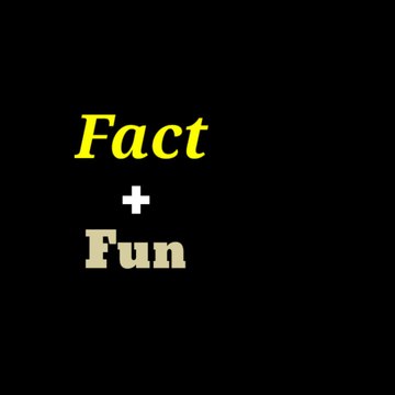 Fact with Fun {official}