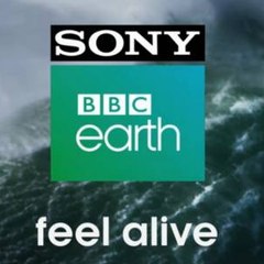 BBC Earth.