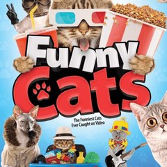 Funny cats videos