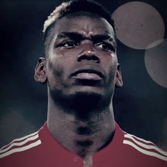 MrTeddy