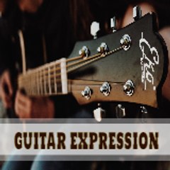 Guitar Expression