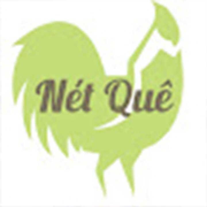 Dailymotion profile picture for @vietnamese