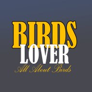 Birds Lover