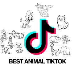 ANIMAL TIKTOK