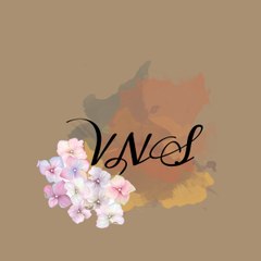 Visual Novel Story