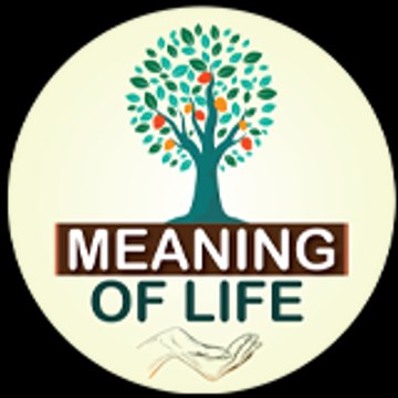 MEANING OF LIFE