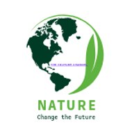 THE  YOUTUBE CHANNEL