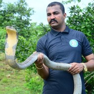 Sarpmitra Akash Jadhav