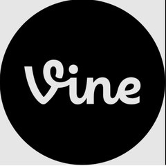 funny animal vine Cats and Dogs