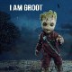 Funny videos