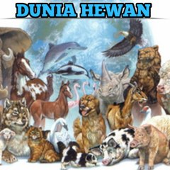 Dunia Hewan