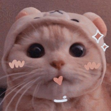 Kucingku Oh Lucu Sekali