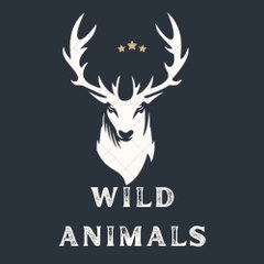 WILD LIFE ANIMALS
