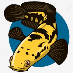 ALL ABOUT FISH