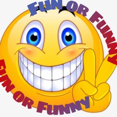 Fun or funny
