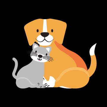 Cat And Dog