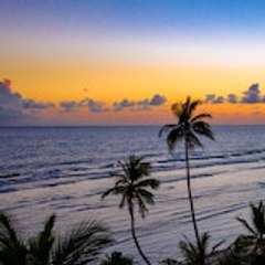 New Everything Videos