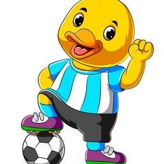 Duck Highlights Soccer