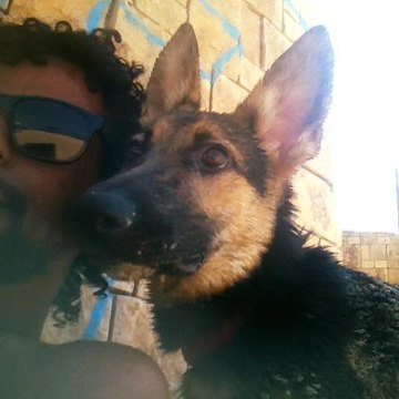DOGS@LOVE