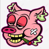 funny video compilation