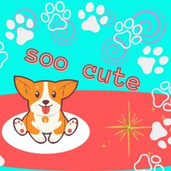 Soo Cute