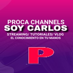 Proca Channels