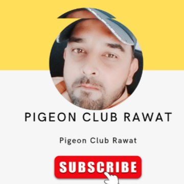 Pigeon Club Rawat